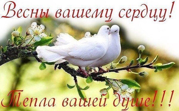 КАК МЕДОВЫЙ ПРЯНИК... ( песня )