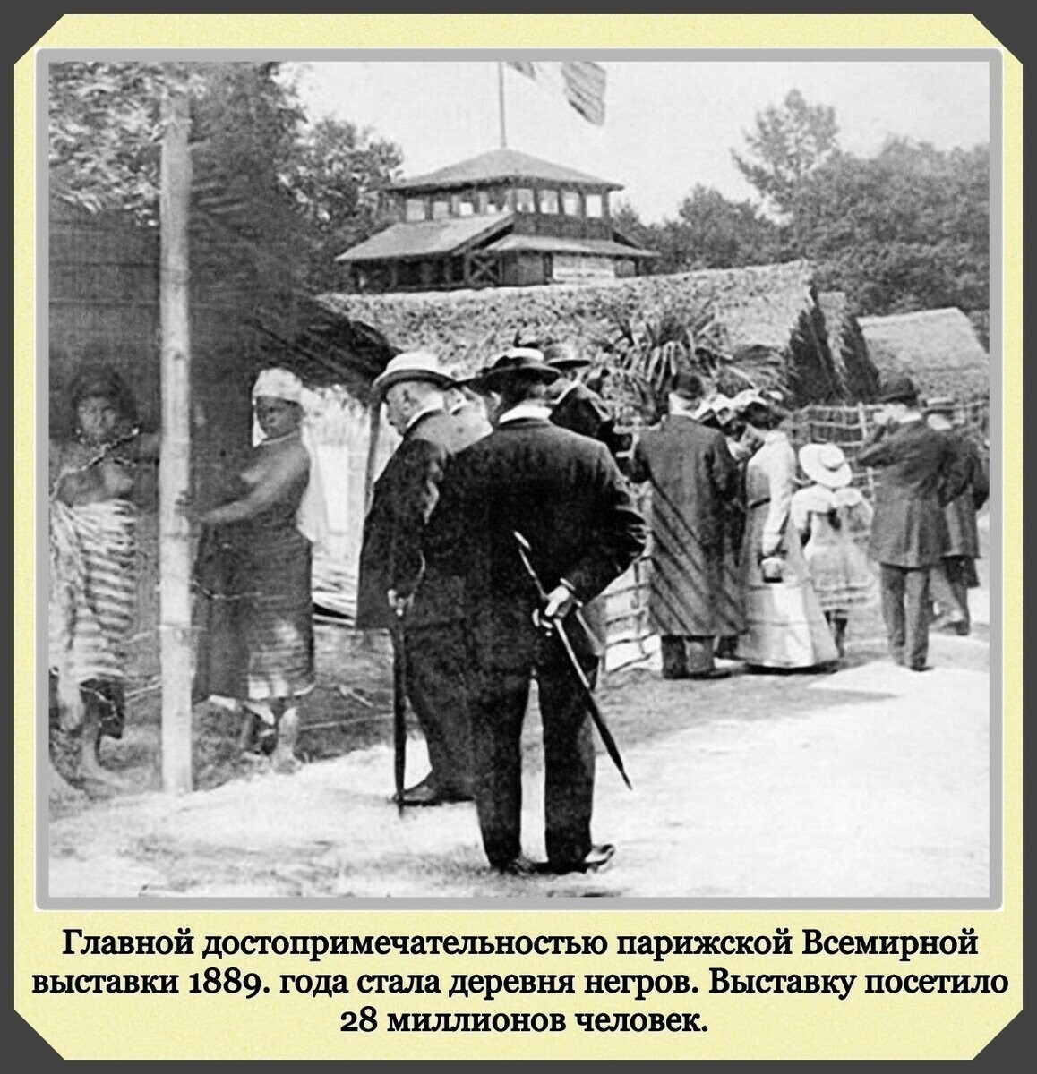 человеческий зоопарк в бельгии 1958